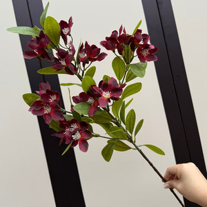 Branche de fleur artificielle Myrte commun (Myrte de Chine) à 36 têtes, fausse fleur de groseille à maquereau pour décoration florale de mariage, fête, maison et hôtel - Product Image 6