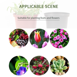 <span class=keywords><strong>Macetas</strong></span> de Plástico <span class=keywords><strong>para</strong></span> Plantas de Jardín y Vivero, Venta <span class=keywords><strong>al</strong></span> <span class=keywords><strong>por</strong></span> <span class=keywords><strong>Mayor</strong></span> 2021, Todos los Tamaños, 20/25 Galones - Product Image 6