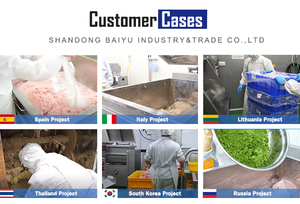 Baiyu <span class=keywords><strong>เครื่อง</strong></span>ผสมเนื้อหมูไส้กรอกสแตนเลสเกรดเชิงพาณิชย์ใหม่ได้รับการรับรอง ISO9001การออกแบบแนวนอนเฟสเดียว - Product Image 5