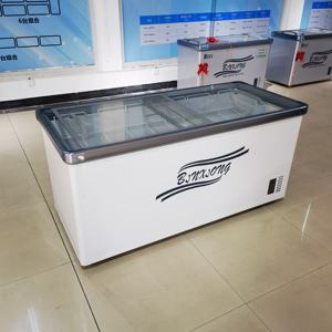 2m Cheap Deep Freezers 2 Doors Direct Cooling Manual Defrost <strong>Gas</strong> <strong>Fridges</strong> and Deep <strong>Fridge</strong> Freezer - Product Image 4