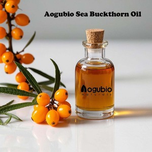 Freeze Dried Organic Seabuckthorn Juice <strong>Powder</strong> for Beverages and Health Foods - Product Image 4