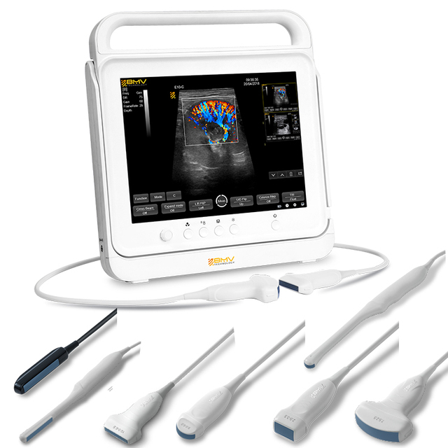 Advanced Imaging Technology BMV PT50C Vet. Lightweight Handheld Portable Veterinary Ultrasound 15" High Resolution LED Monitor