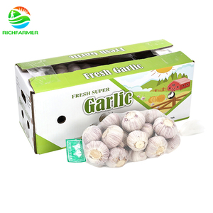 <span class=keywords><strong>Ail</strong></span> frais de bonne qualité, en bulbes, <span class=keywords><strong>non</strong></span> <span class=keywords><strong>pelé</strong></span>, prêt à cuisiner, vente en gros - Product Image 2