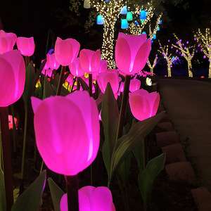 Custom Tulip LED Lawn <b>Light</b> Solar <b>Ground</b> Plug IP65 Rating High CRI 95 Dimmable Garden Courtyard Atmosphere Decoration Lighting - Product Image 3