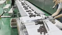 Machine d'emballage de bonbons de forme irrégulière, haute vitesse, entièrement automatique, personnalisée