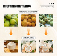 Machine à découper la noix de coco sèche, petite machine à éplucher la noix de coco multifonctionnelle avec corps compact, machine à découper et éplucher la noix de coco