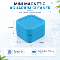 Nettoyeur magnétique pour aquarium miniature, fabricant d'outils de nettoyage de réservoir de poissons flottants double face, OEM/ODM, respectueux de l'environnement