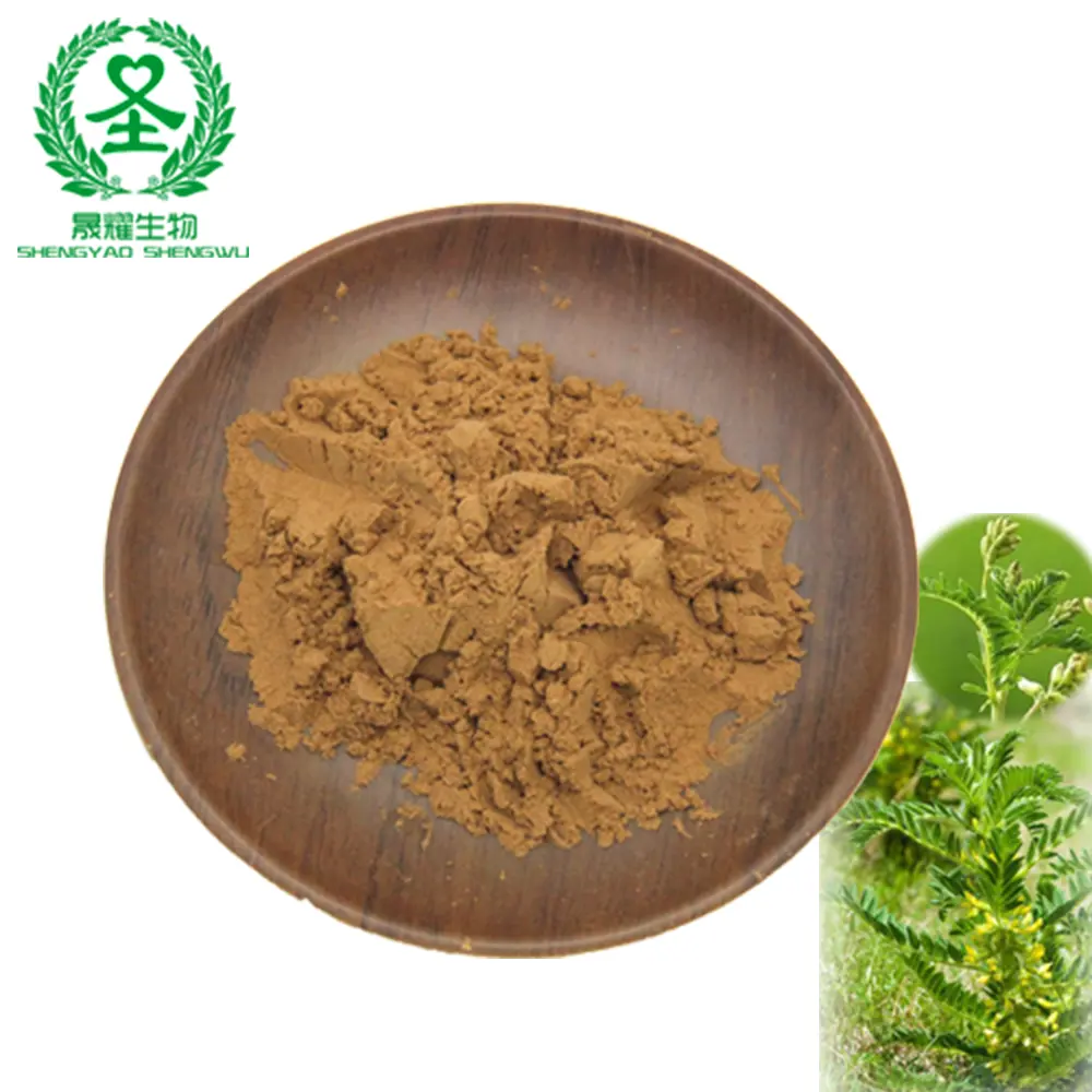 Astragalus Polysaccharide bột tự nhiên astragalus chiết xuất 70% astragalus Polysaccharide bột