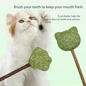 Palos masticables <span class=keywords><strong>de</strong></span> limpieza <span class=keywords><strong>de</strong></span> dientes <span class=keywords><strong>de</strong></span> <span class=keywords><strong>gato</strong></span> <span class=keywords><strong>de</strong></span> planta natural, Bola <span class=keywords><strong>de</strong></span> menta para <span class=keywords><strong>gato</strong></span>, juguetes <span class=keywords><strong>de</strong></span> piruleta, dientes molares <span class=keywords><strong>de</strong></span> <span class=keywords><strong>gato</strong></span>, relajación, estado <span class=keywords><strong>de</strong></span> ánimo, juguetes <span class=keywords><strong>de</strong></span> comida para mascotas <span class=keywords><strong>de</strong></span> varias formas - Product Image 2