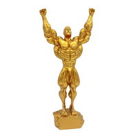 Brassard personnalisé, lutte, judo, arts martiaux, figurines de karaté, médailles et trophée, remise de prix en résine, coupe du trophée taekwondo