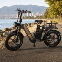 Vélo cargo électrique 48V à double batterie au lithium pour livraison de repas, moteur double 2000W, pneus larges 20 pouces, direct usine