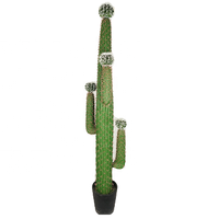Haute qualité 185CM plastique artificiel PE Tropical Cactus Design de luxe intérieur décoratif bon effet d'arbre simulé Stock direct