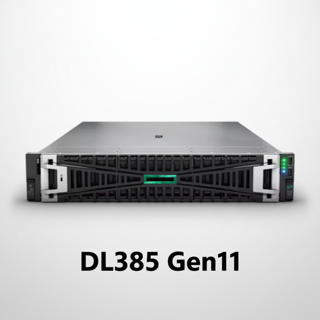 Professional Supplier HPE ProLiant DL385 Gen11 Server Manufacturer Direct Sales