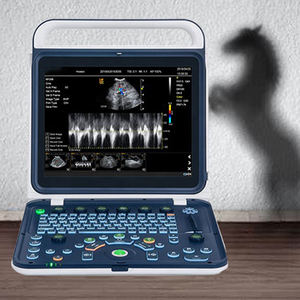 <span class=keywords><strong>Scanner</strong></span> à ultrasons colorisé rentable 2024 Machines à ultrasons hépatiques de diagnostic équin haute définition pour chevaux - Product Image 6
