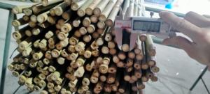 All'ingrosso canne/pali/pali/pali di bambù crudi pali di bambù canne di bambù giganti partizioni di bambù decorazione e costruzione della casa - Product Image 3