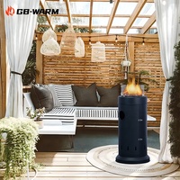Le foyer à gaz peut être déplacé à volonté, semble bien avec du verre pour voir la flamme du foyer à gaz extérieur