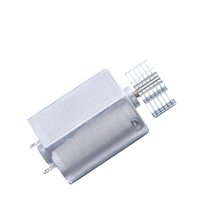 FK-130 DC Vibrationsmotor Exzentrisches Gewicht 3V 6V 12V Hochfrequenz Starke Leistung OEM für Massage- und Körperpflegegeräte