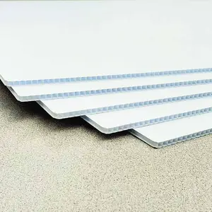 制造制造商供应商形状50x100 5毫米10毫米12毫米空白PP波纹塑料板