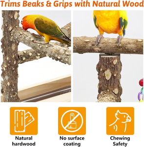 Parc de jeux pour <span class=keywords><strong>oiseaux</strong></span> en bois naturel, support pour perroquets adapté aux <span class=keywords><strong>oiseaux</strong></span> de petite et moyenne taille avec mangeoires, balançoires, jouets à mâcher et perchoirs - Product Image 5