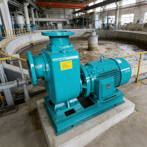 High Single-Stage Pump for Irrigation Agriculture Horizontal Split Case Centrifugal Pump Double Suction Pump - Product Image 2