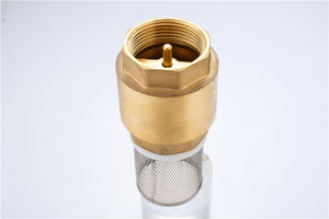 Piede in ottone S.S. Filtro in acciaio inox primavera verticale di acqua in ottone pompa - Product Image 3