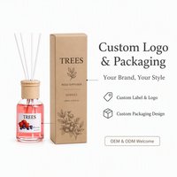 Diffuseur de parfum d'ambiance sans flamme aux huiles essentielles parfumées aux fruits, en bouteille de verre de 100 ml, sans alcool, cadeau de luxe pour usage intérieur