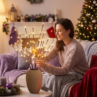 Guirlande lumineuse à 20 LED en forme de branche de saule, alimentée par piles, blanc chaud, pour la maison, les fêtes, Noël, les mariages, la décoration intérieure, la chambre, la table, le vase