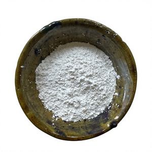 Proveedor líder de carbonato de calcio en polvo, masterbatch de relleno, aditivos químicos, marca Nhat Thang VNT 7 de Nghe An, Vietnam - Product Image 1