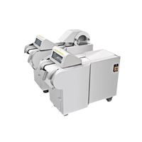 Elektrische groentesnijmachine, aardappelblokjes snijder, multifunctionele groente- en fruitsnijder, fruitverwerkingsapparatuur