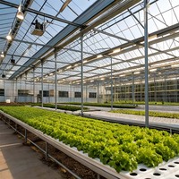 Serre en polycarbonate multi-voûtes de type Venlo - Polycarbonate agricole stable à faible coût, grande portée pour la culture de légumes