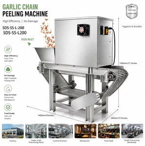 Máquina Peladora de <span class=keywords><strong>Ajo</strong></span> Automática Tipo Cadena 200kg/h, Peladora de <span class=keywords><strong>Ajo</strong></span> Industrial de Acero Inoxidable para Fábrica de Alimentos, Certificación CE - Product Image 2