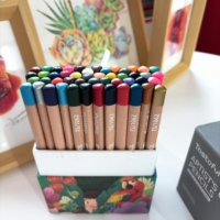Crayons de couleur triangulaires épais de 48 couleurs, pointes colorées pour une sélection facile, crayons de dessin en bois à haute teneur en pigments dans un coffret cadeau