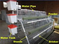 Équipement de Système d'Élevage Avicole pour Poules Pondeuses, Cage en Batterie pour Poulets Pondeurs à Vendre
