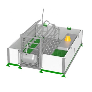 Enclos <span class=keywords><strong>de</strong></span> maternité durable en acier galvanisé pour porcs avec mangeoire supplémentaire pour porcelets – Équipement complet pour l'élevage porcin - Product Image 1