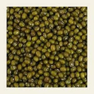 Frijoles Moong (Green Gram) de la India, Calidad de Exportación, Proveedor a Granel, Grado Alimenticio, Marca SD, Empaque en Tambor - Product Image 2