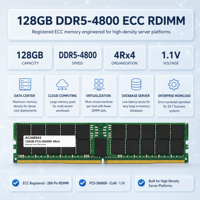 Mémoire serveur AC448843 128 Go DDR5-4800 ECC 288 broches 1,1 V 4Rx4 pour instrumentation, format cylindrique