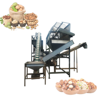 Multi-laagse vibrerende noten sorteermachine complete productielijn voor het sorteren van walnoten, amandelen, pistachenoten en pinda's op maat.