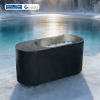 Bain froid de luxe en acier inoxydable pour extérieur avec refroidisseur et filtre