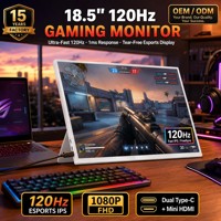 Moniteur de jeu portable 18,5 pouces 120 Hz 1080P FHD IPS Type-C ultra-fin avec logo personnalisé OEM