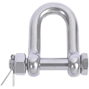Wholesale 304 316 Stainless Steel U Bolt Type Chain Shackle Stainless Steel D Shackle