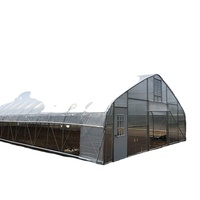 Serre tunnel de haute qualité à prix abordable