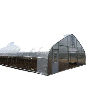 Invernadero de túnel de alta calidad, precio bajo - Product Image 3