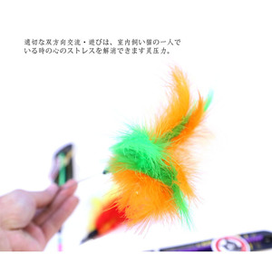 Jouets pour chats Aduck, bâtons à chatouiller pour chats, bâtons à plumes/tubes en gel, bâtons à plumes/fleurs bicolores - Product Image 2