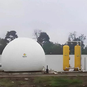 <span class=keywords><strong>Digesteur</strong></span> anaérobie <span class=keywords><strong>domestique</strong></span> automatique facile à utiliser pour le traitement du fumier animal et la production de biogaz - Product Image 4