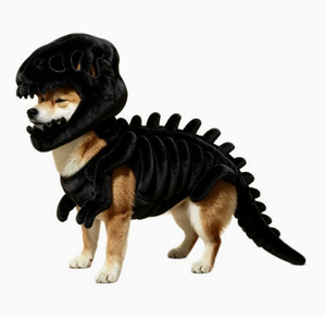 Disfraz de peluche de esqueleto de dinosaurio para mascotas, traje suave y cálido con calavera, ropa de cosplay de Halloween para perros pequeños y medianos, gatos, fiestas navideñas - Product Image 4