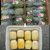 Industriële automatische ananas-schilmachine X5, ananas-vlekkenverwijderaar, schil- en kopverwijderingsmachine, hoge capaciteit