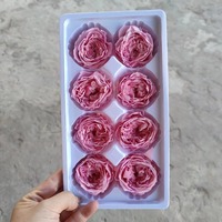 Kepala Bunga Mawar David Austin P-7 yang Diawetkan - Warna Sesuai Pesanan Bentuk Bulat untuk Dekorasi Buket - Hari Valentine & Hari Ayah