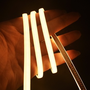 Cho Tủ chiếu sáng Neon <span class=keywords><strong>LED</strong></span> <span class=keywords><strong>Strip</strong></span> <span class=keywords><strong>IP67</strong></span> không thấm nước siêu mỏng 3*5 mét TOP <span class=keywords><strong>View</strong></span> DC24V 480LEDs/M PCB 5 mét <span class=keywords><strong>Led</strong></span> Neon <span class=keywords><strong>Strip</strong></span> ánh sáng - Product Image 1