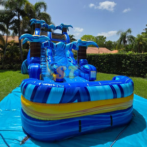 Glissières d'eau gonflables <span class=keywords><strong>de</strong></span> glissière <span class=keywords><strong>de</strong></span> <span class=keywords><strong>piscine</strong></span> <span class=keywords><strong>de</strong></span> qualité marchande <span class=keywords><strong>de</strong></span> ruelle bleue <span class=keywords><strong>de</strong></span> 20ft <span class=keywords><strong>avec</strong></span> la <span class=keywords><strong>piscine</strong></span> pour des enfants - Product Image 2