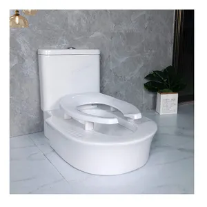 2020 新设计潮州陶瓷双冲洗一件厕所冲洗蹲便器与座套